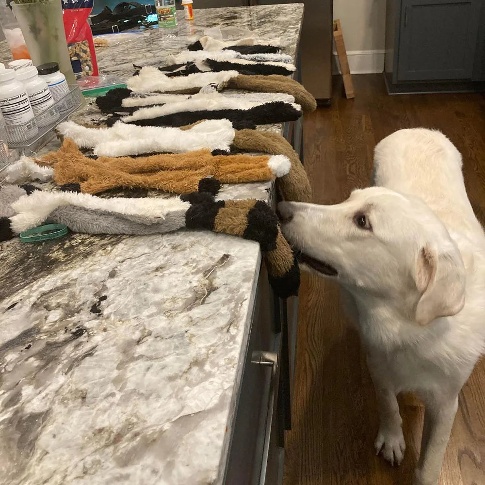 No-Stuffing Squeaky Dog Toy