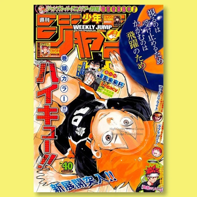Haikyuu!! Anime Poster