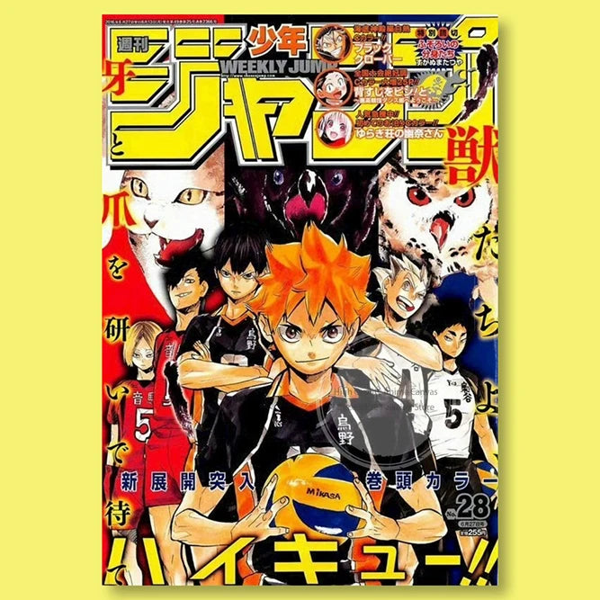Haikyuu!! Anime Poster