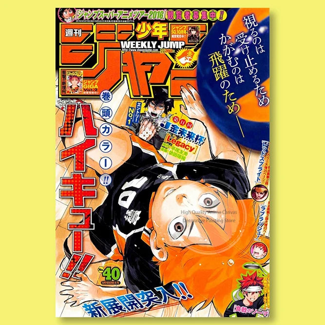 Haikyuu!! Anime Poster