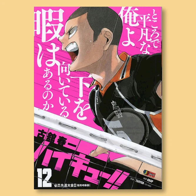 Haikyuu!! Anime Poster